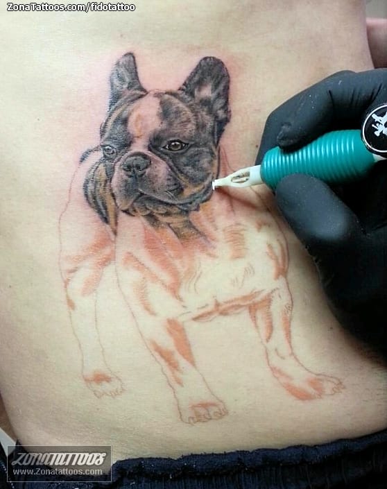 Tattoo photo Dogs, Animals