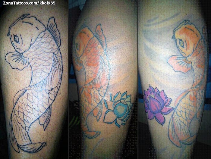 Foto de tatuaje Koi, Peces, Animales