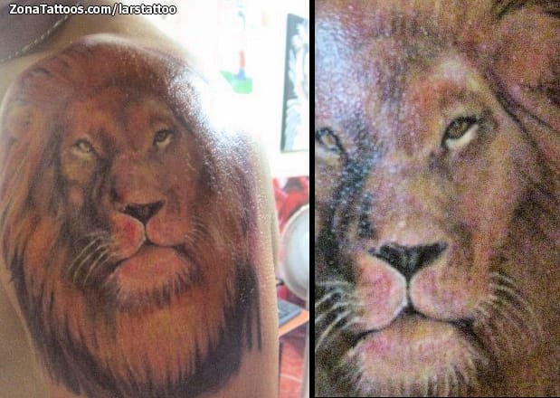 Foto de tatuaje Leones, Animales