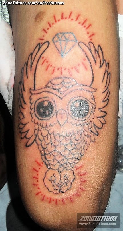 Tattoo photo Owls, Birds, Animals