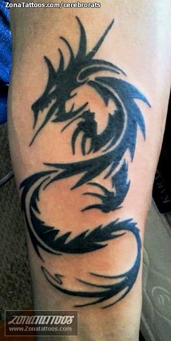 Foto de tatuaje Fantasía, Dragones, Tribales