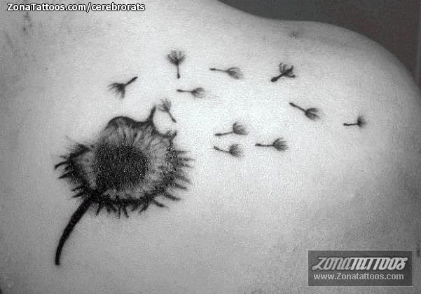 Tattoo photo Flowers, Shoulder blade, Dandelions