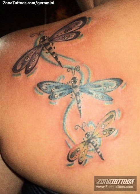 Tattoo photo Dragonflies, Insects