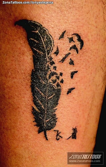 Foto de tatuaje Plumas, Aves