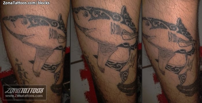 Foto de tatuaje Tiburones, Tribales, Animales