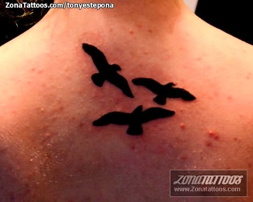 Tattoo photo Birds, Animals