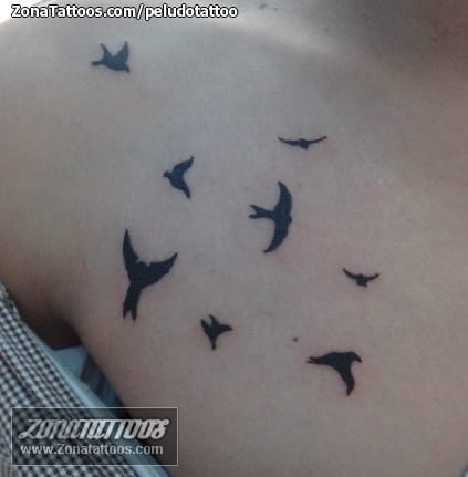 Foto de tatuaje Aves, Animales