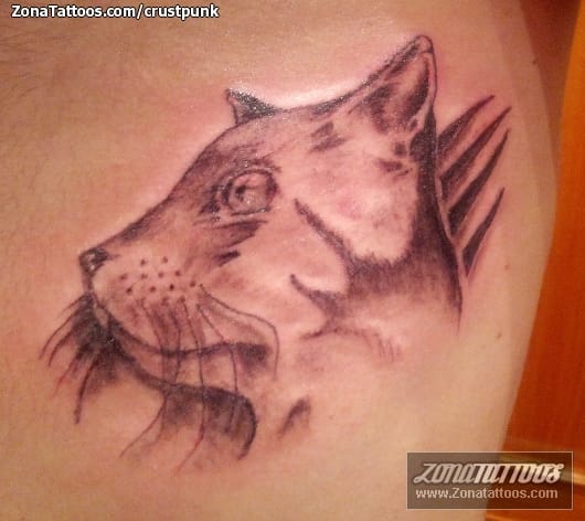 Tattoo photo Cats, Animals