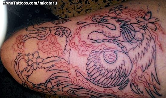 Foto de tatuaje Ave Fénix, Orientales