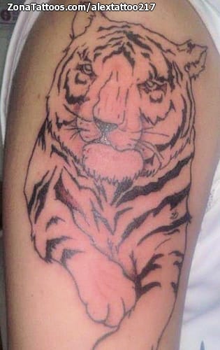 Tattoo photo Tigers, Animals