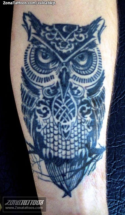 Tattoo photo Owls, Birds, Animals