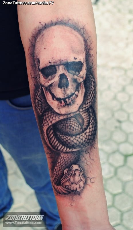 Foto de tatuaje Calaveras, Serpientes, Animales