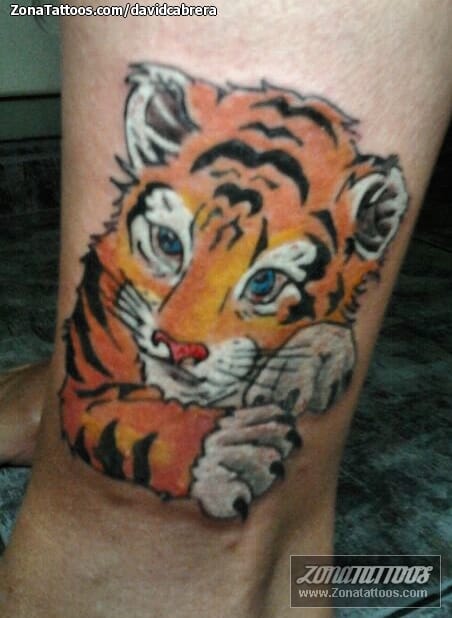 Foto de tatuaje Tigres, Animales