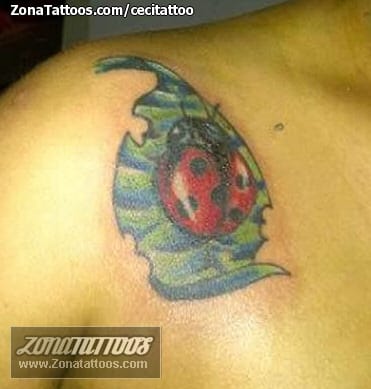 Foto de tatuaje Mariquitas, Hojas, Insectos