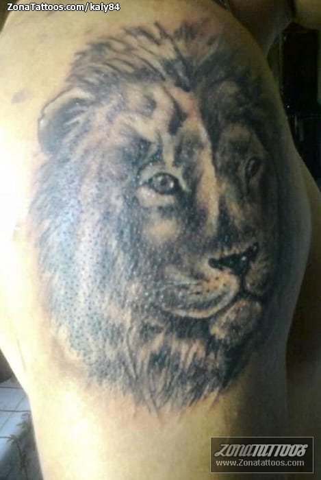 Foto de tatuaje Leones, Animales