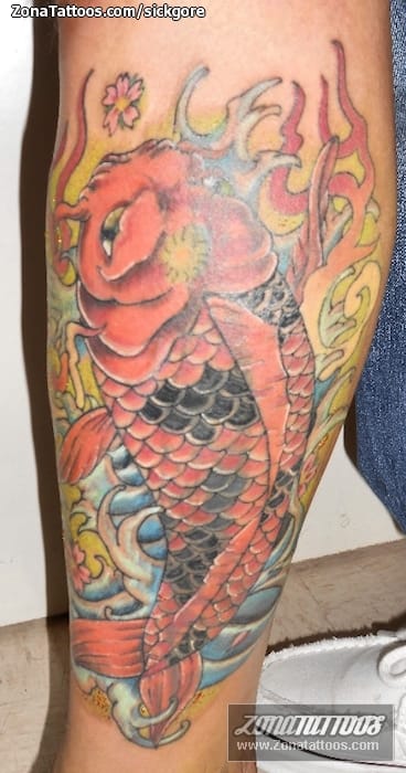 Foto de tatuaje Koi, Orientales, Peces