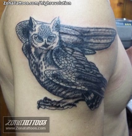 Foto de tatuaje Búhos, Aves, Animales