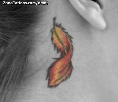 Tattoo photo Feathers