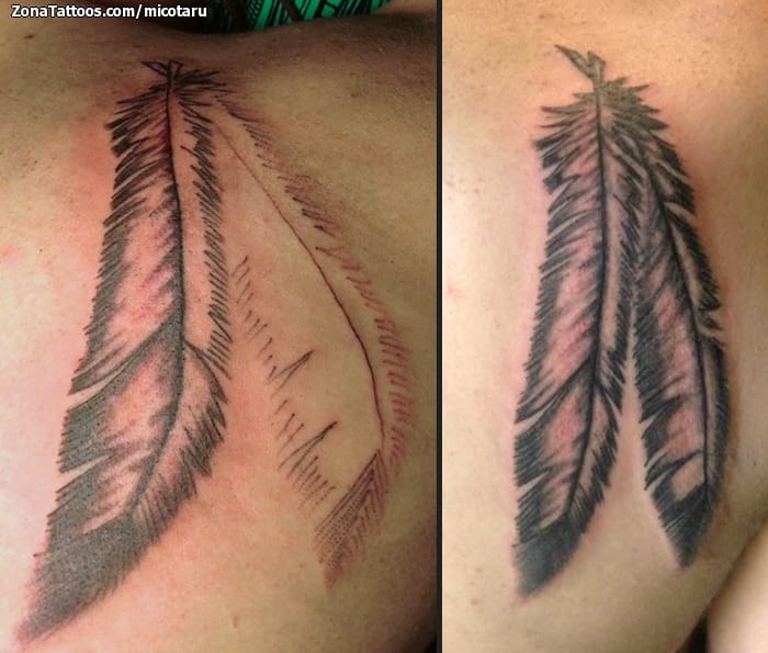 Foto de tatuaje Plumas