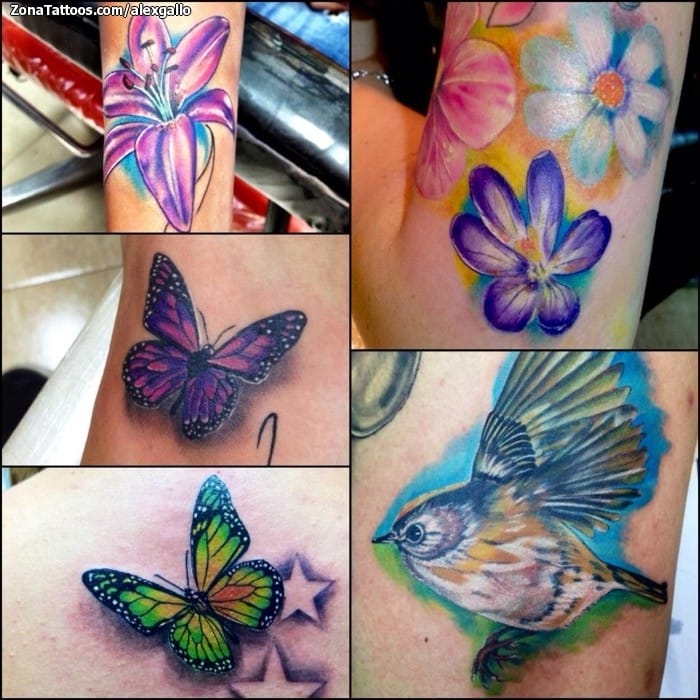 Foto de tatuaje Flores, Aves, Animales