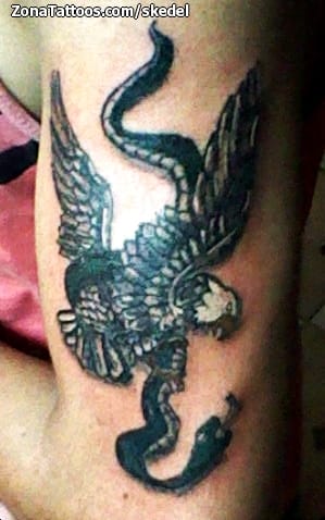 Tattoo photo Eagles, Animals, Snakes