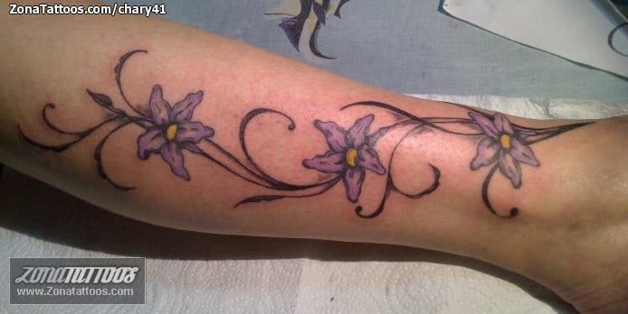 Foto de tatuaje Flores, Pierna