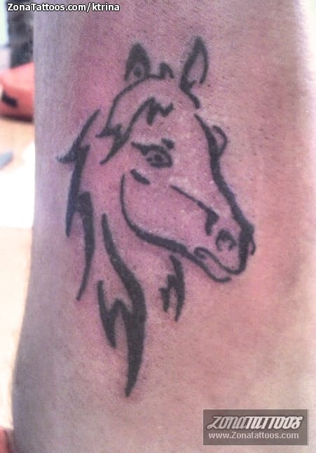 Foto de tatuaje Caballos, Animales