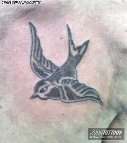 Foto de tatuaje Golondrinas, Aves, Animales