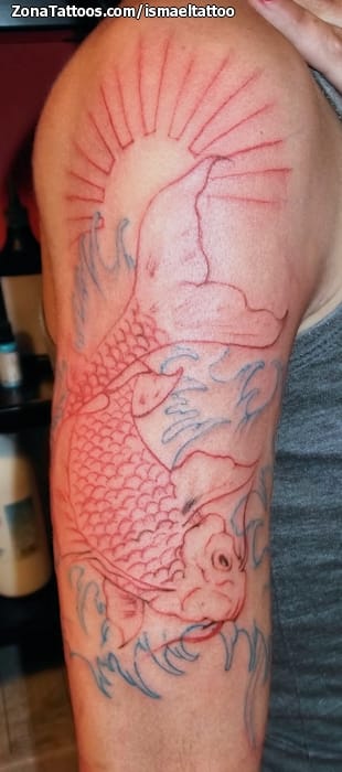 Foto de tatuaje Koi, Peces, Agua