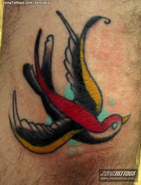 Tattoo photo Swallows, Old School, Birds