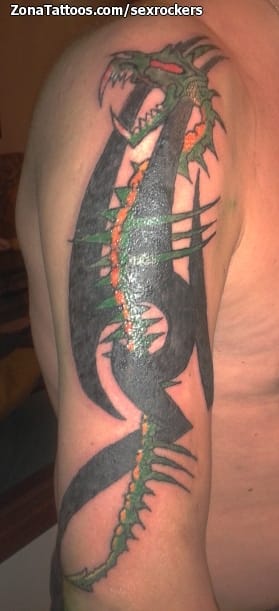 Tattoo photo Dragons, Tribal