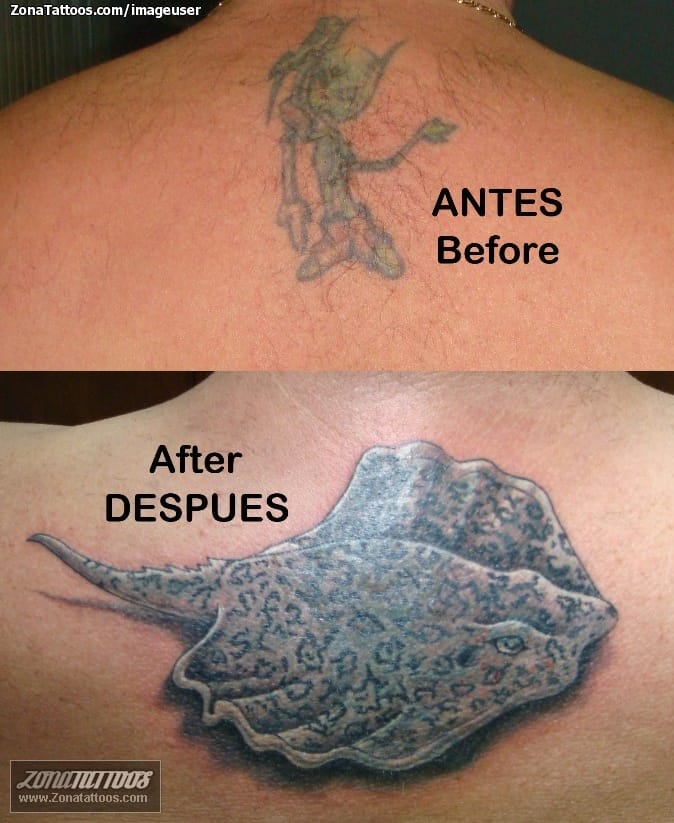 Foto de tatuaje Animales, Peces, Cover Up