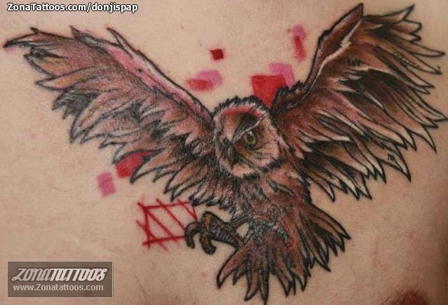 Foto de tatuaje Búhos, Aves, Animales