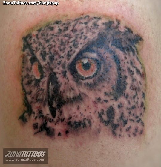 Tattoo photo Owls, Birds, Animals