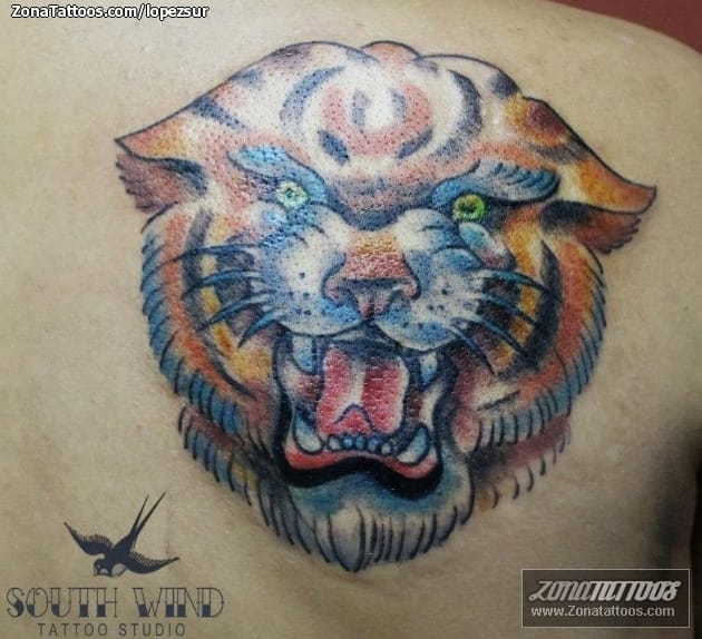 Tattoo photo Tigers, Animals