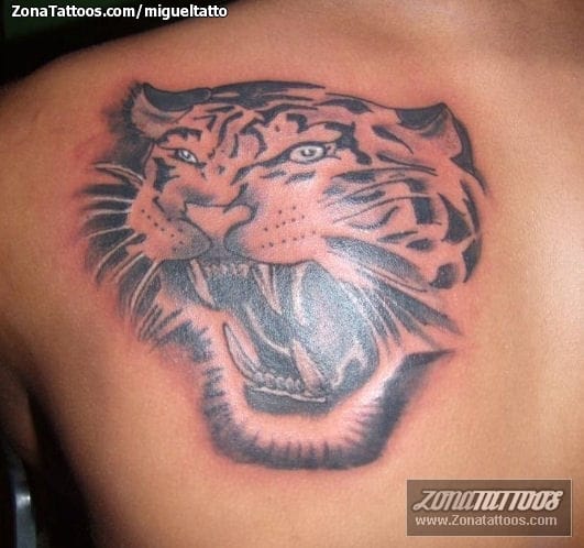 Foto de tatuaje Tigres, Animales