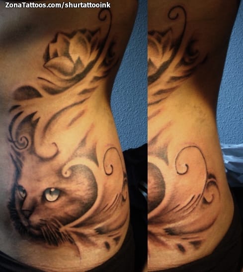 Foto de tatuaje Gatos, Animales, Lotos