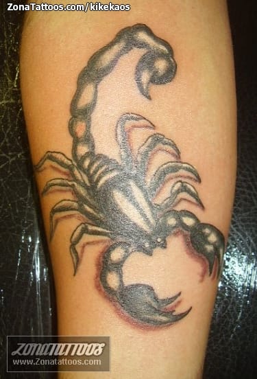 Tattoo photo Scorpions, Insects