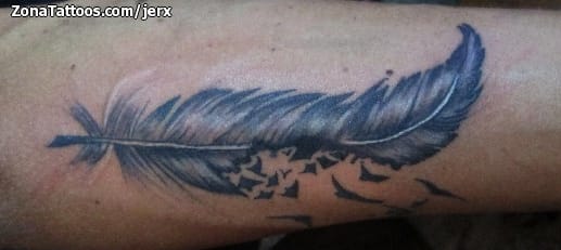 Tattoo photo Feathers, Birds