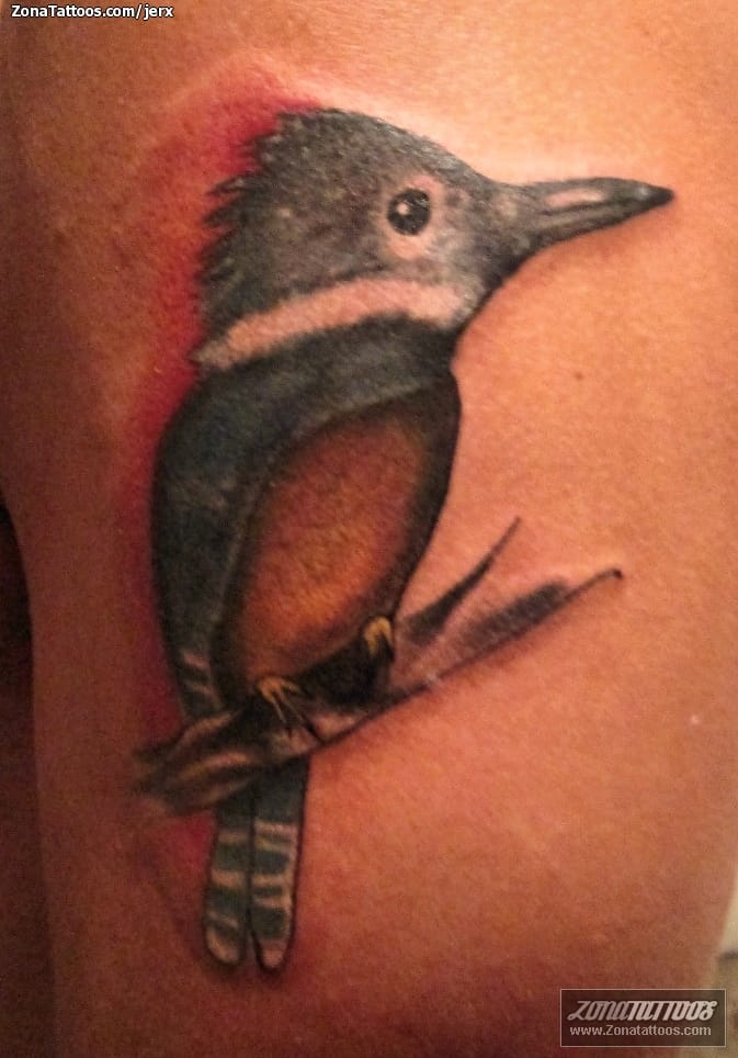 Tattoo photo Birds, Animals