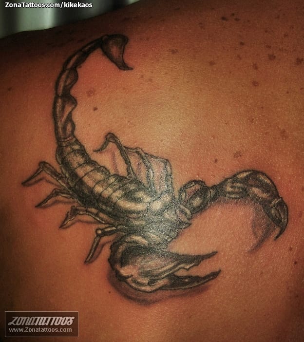 Tattoo photo Scorpions, Insects