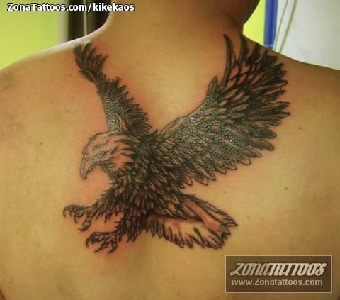 Foto de tatuaje Águilas, Aves, Animales