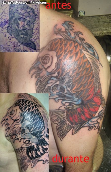 Foto de tatuaje Koi, Peces, Orientales