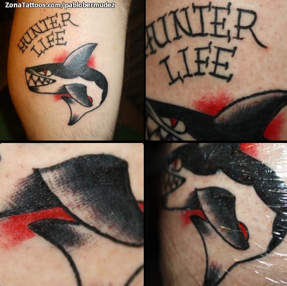 Tattoo photo Sharks, Animals, Letters