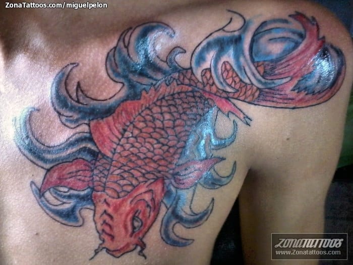 Foto de tatuaje Koi, Peces, Agua