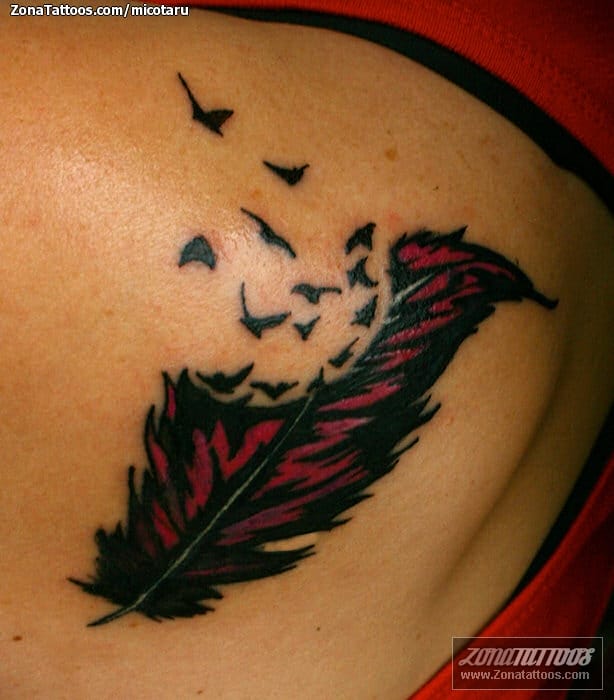 Tattoo photo Feathers, Birds