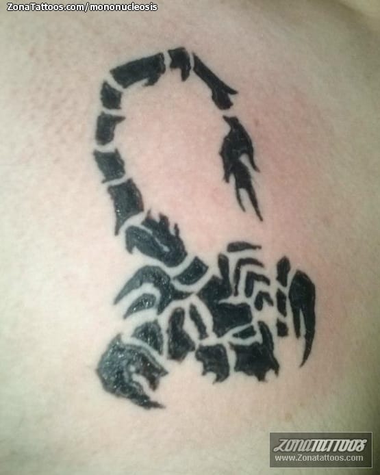 Tattoo photo Scorpions, Insects