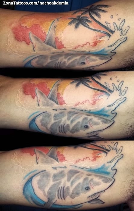 Foto de tatuaje Tiburones, Animales, Palmeras