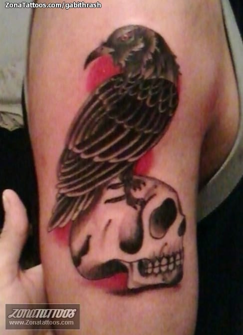 Foto de tatuaje Cuervos, Aves, Animales