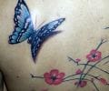 Tatuaje de skinkarma